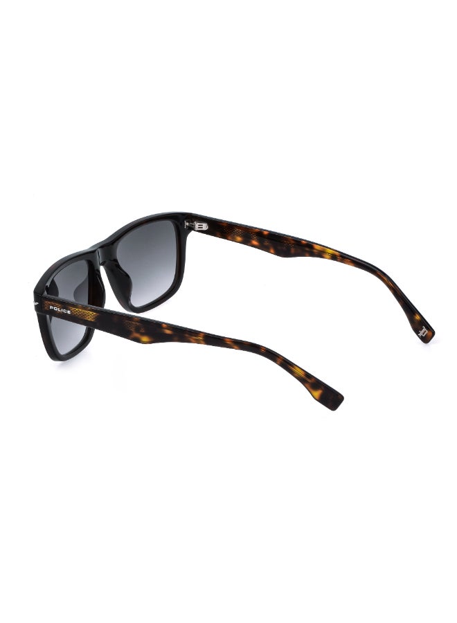 POLICE Sunglasses SPLQ83M - Image 4
